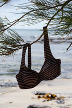 Women’s Conch Bikini Top