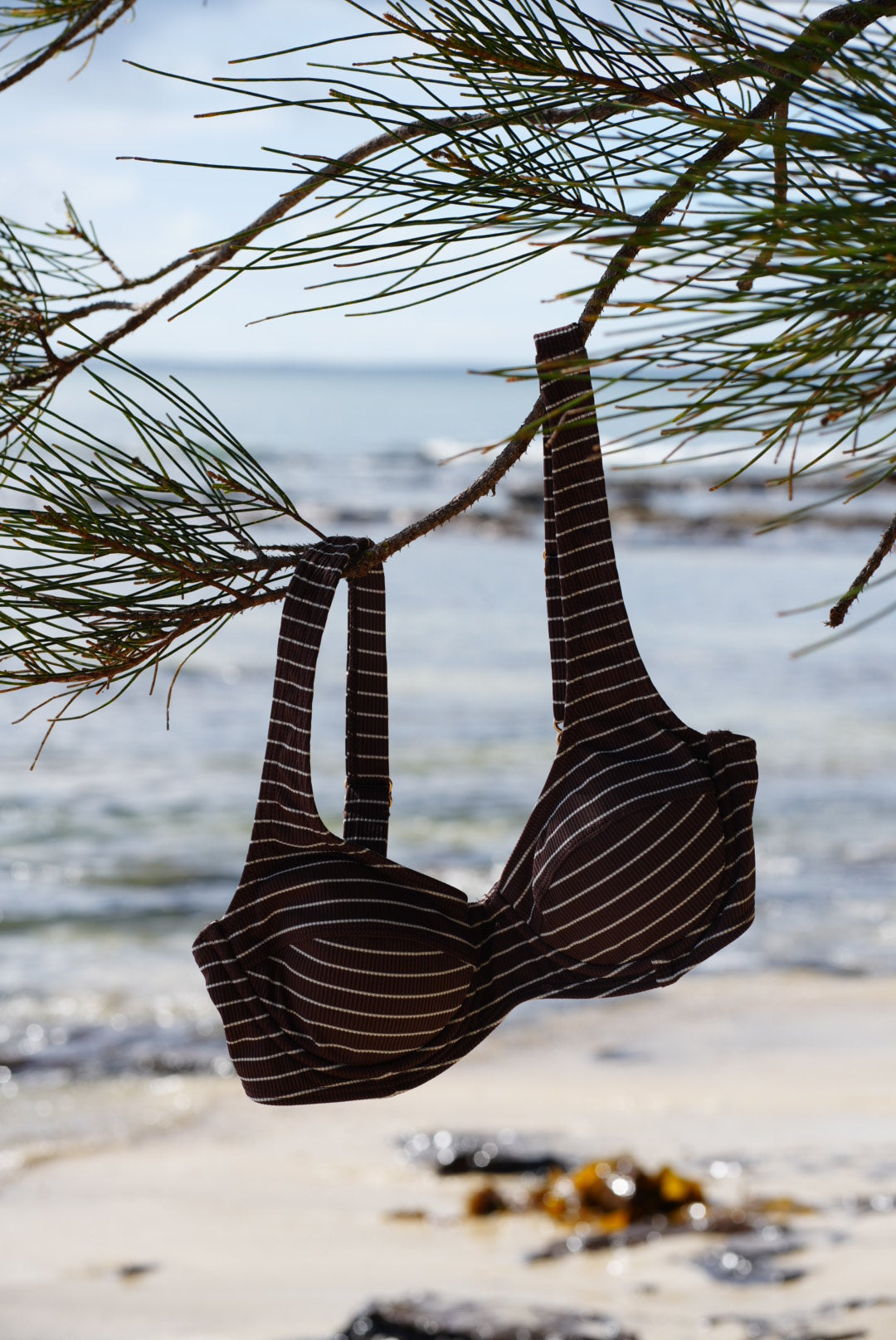 Women’s Conch Bikini Top
